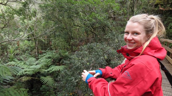 Predator Free Rakiura Project Manager Appointed