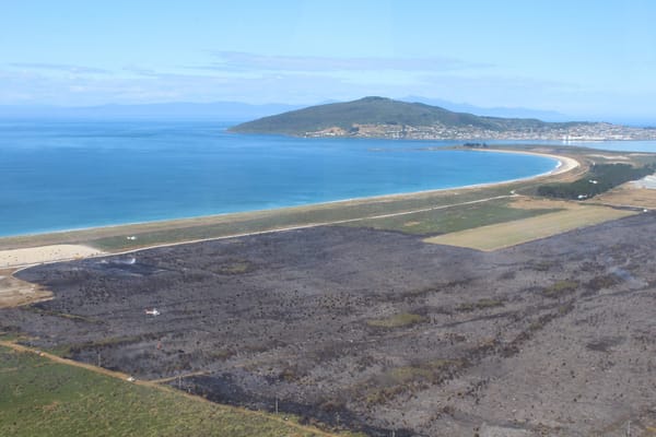 The Aftermath Of Fire Near Tiwai Smelter (photos + video)