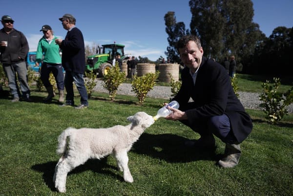 ACT Released Climate Change, Forestry, Primary Industries & Water Policies In Southland Today