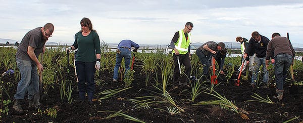 Estuary Beautification Project Completed