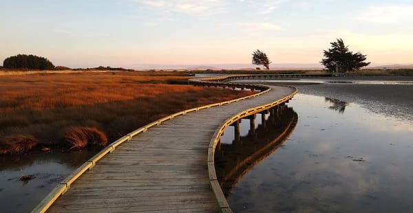 Commissioner’s Report on Estuaries Reinforces Direction