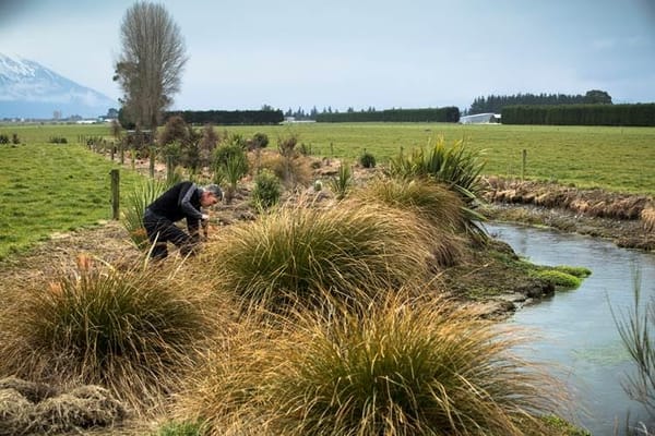 Fonterra Launches Plan To Improve Waterways  + Nationwide Open Day