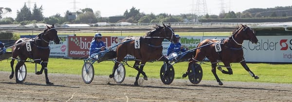 Champion Pacers To Be Celebrated At Ascot Raceway On Sunday