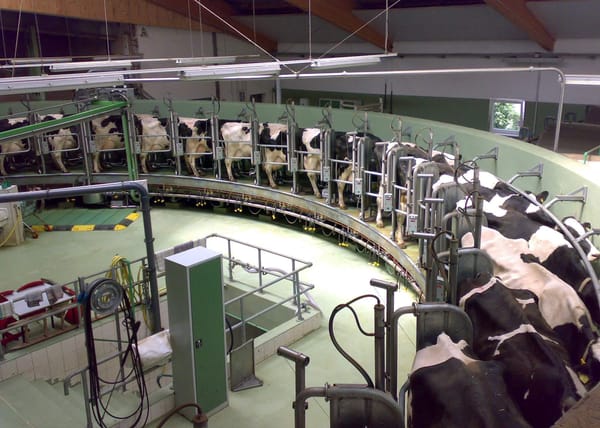 Fonterra to Pay Farmers More for Sustainable, High Value Milk