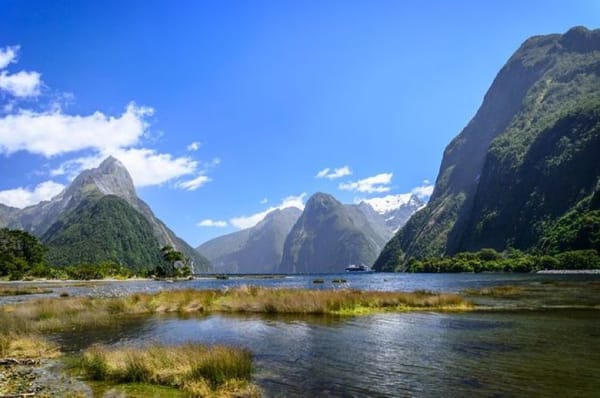 Seal-watching Boat With 39 Tourists Onboard Crashes Into Rock In Milford Sound