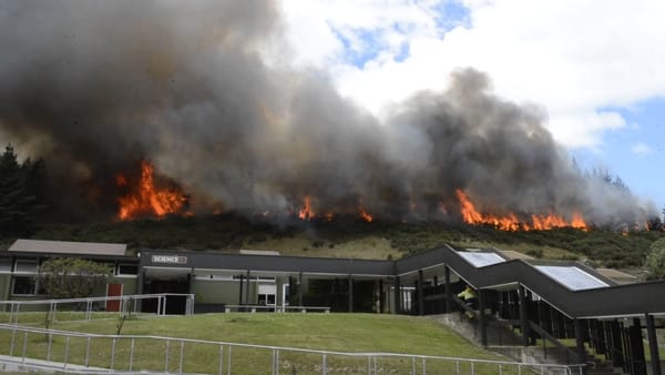 North Dunedin Scrub Fire