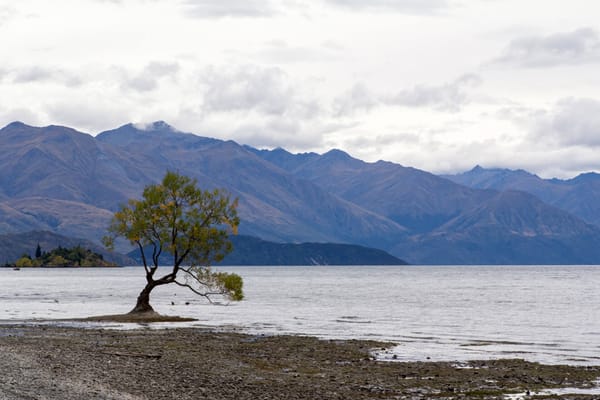 Man Drowns in Lake Wanaka & Paraglider Injured on Treble Cone