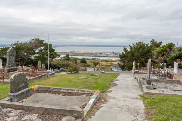 Gates To Protect, Preserve Bluff Cemetery