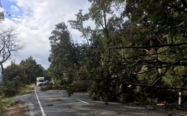 Queenstown, Central Otago in Clean-up Mode