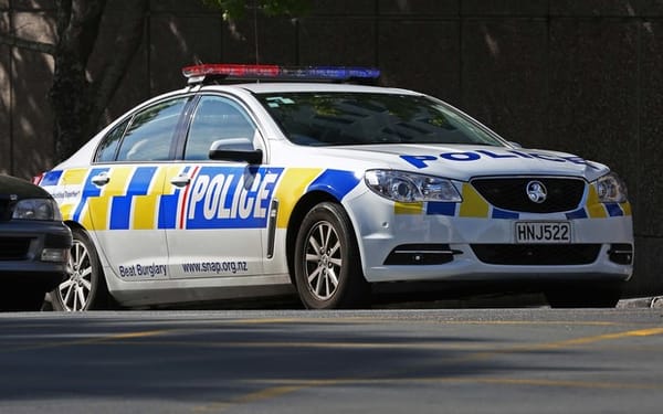 Police Acknowledge IPCA Report Over Gore Incident