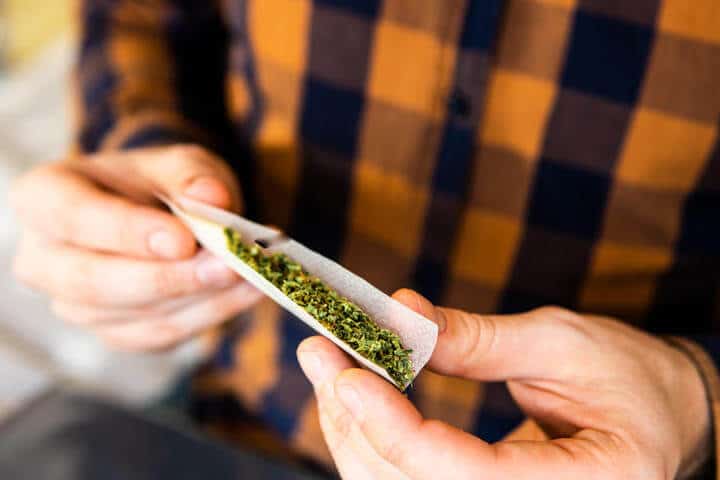 Primary Sector Wary of Health and Safety If Cannabis Legalised