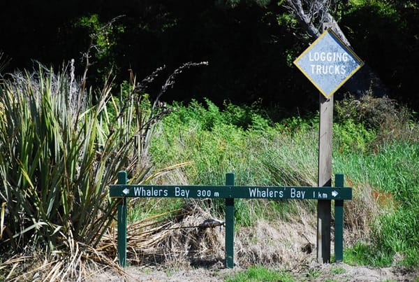 Temporary Road Closures At Sandy Point Due To Flooding