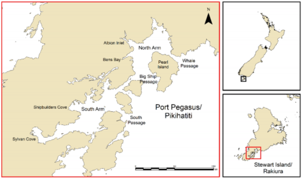 Study Determines Port Pegasus Feasible But Presents Challenges For Salmon Farming