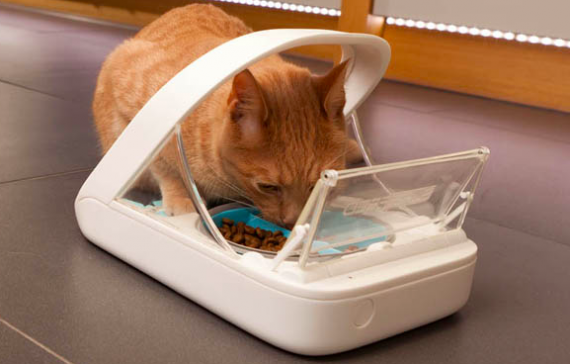 The SureFeed Microchip Pet Feeder (Updated)