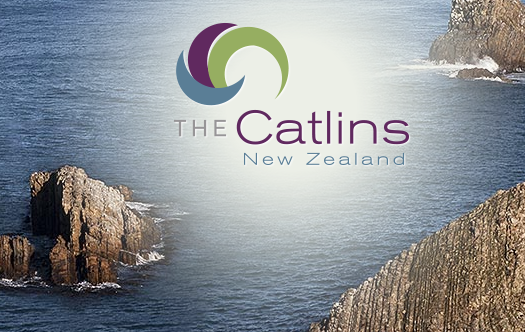 Catlins Tourism Strategy – Now A Living Document