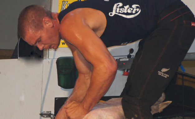 World Shearing Champs In Invers To Be Livestreamed Out To The World