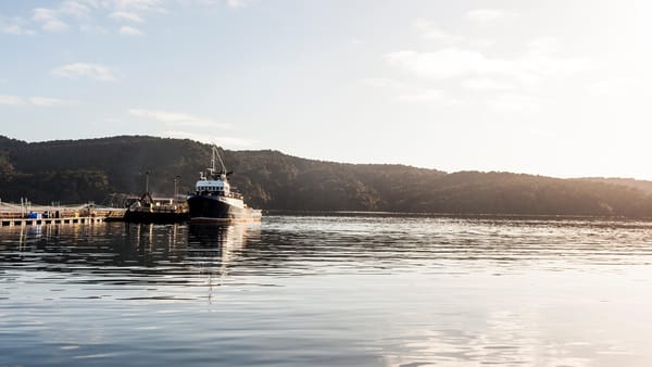 Big Glory Bay Salmon Farm Expansion On Track