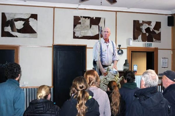 Sheep Shearing Demonstrations