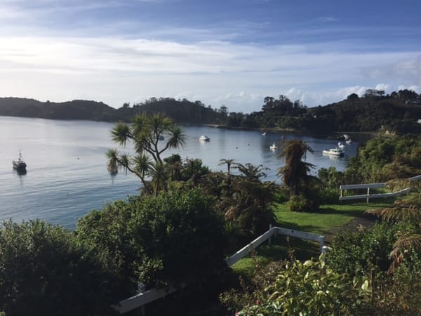 Search and Rescue underway on Stewart Island