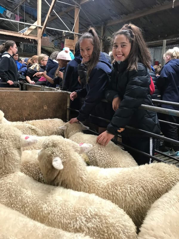 Agri-food Project Gets 160 Invercargill Students Onto Southland Farms