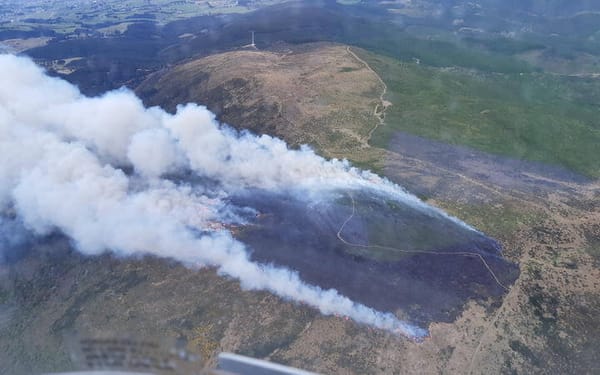 Eight Helicopters Deployed to Battle Large Scrub Fire in Dunedin, Evacuations Underway