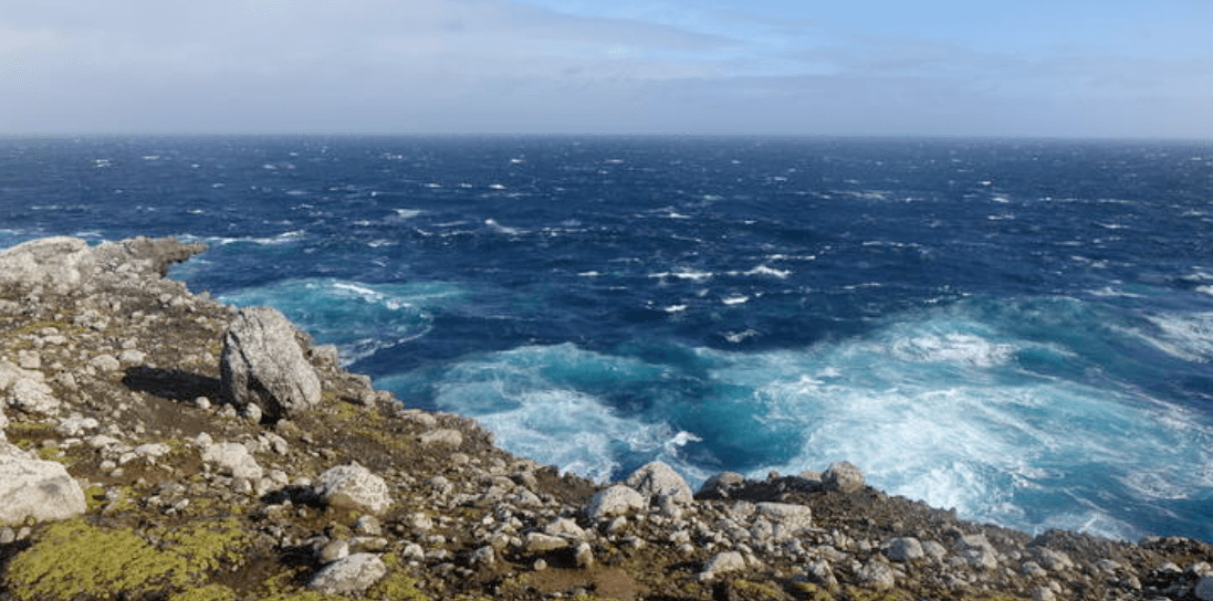 Helicopter Crash In Auckland Islands: Three Crew Members Found Alive