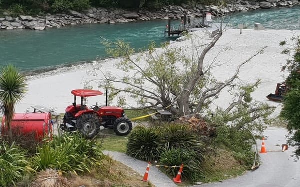 (Updated) Five People Injured By Falling Tree In Queenstown