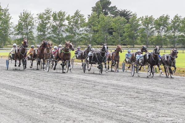 Dash for Cash at Northern Southland Trotting Club Meeting at Ascot Park Raceway