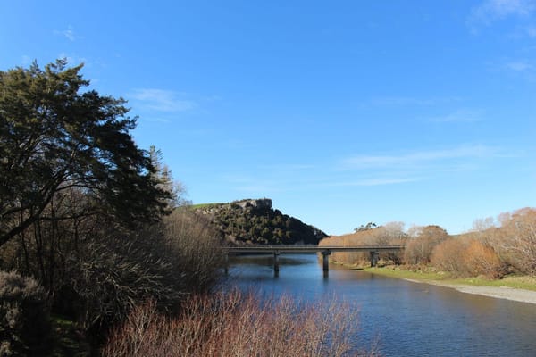 Toxic Algae Found in The Waiau River at Tuatapere