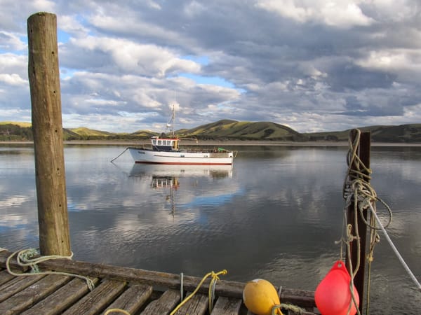 Swimmer Rescued Off Catlins Coast Overnight