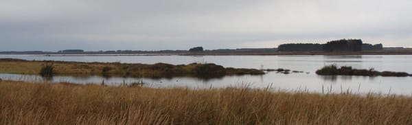 Waituna Freshwater Management Programme Taking Shape