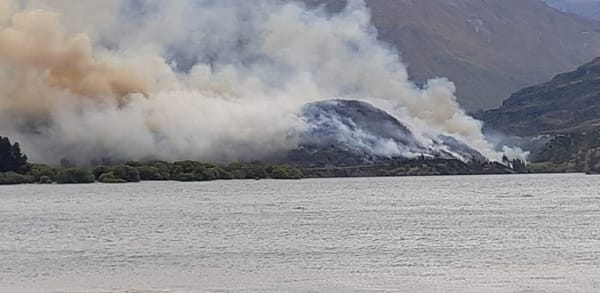 Wanaka Scrub Fire Well Involved