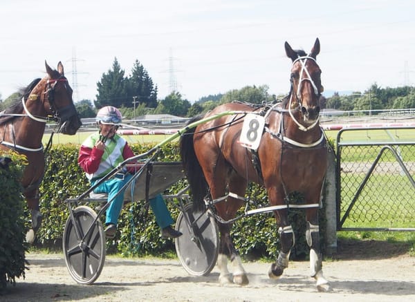 Riverton Cup Day at Ascot Park Raceway