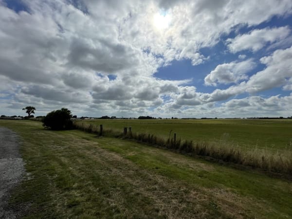 Groundwork Starts On Te Puāwai Residential Housing Development