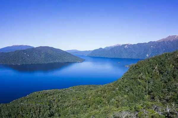 Search Underway For Pair in Fiordland