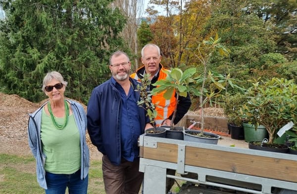 Bannerman Park Becomes Home to Rare Species of Rhododendrons