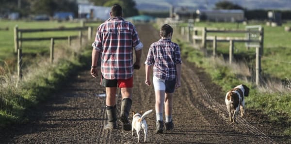 Farmer Confidence in Banks Hits Decade Low