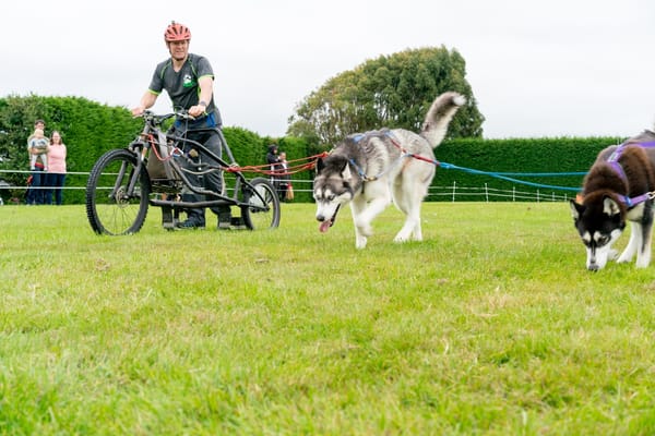 Dogs Day Out Is Back This Weekend