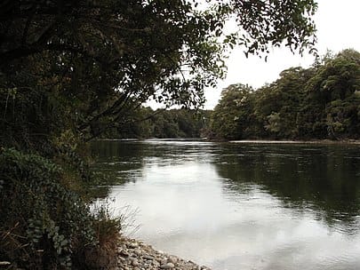 Toxic Algae Found in Waiau River Upstream Excelsior Creek