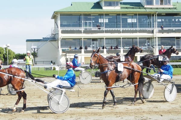 Big Season for Harness Ahead