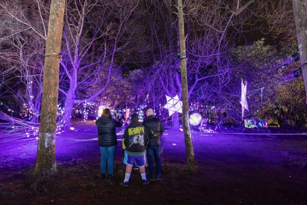 Almost Time To Bring Queen’s Park Alive For Matariki