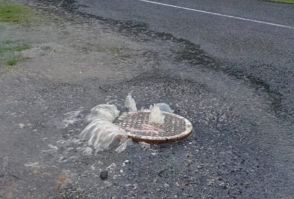 Extreme Weather Event Hits Invercargill and Southland: State of Emergency Declared