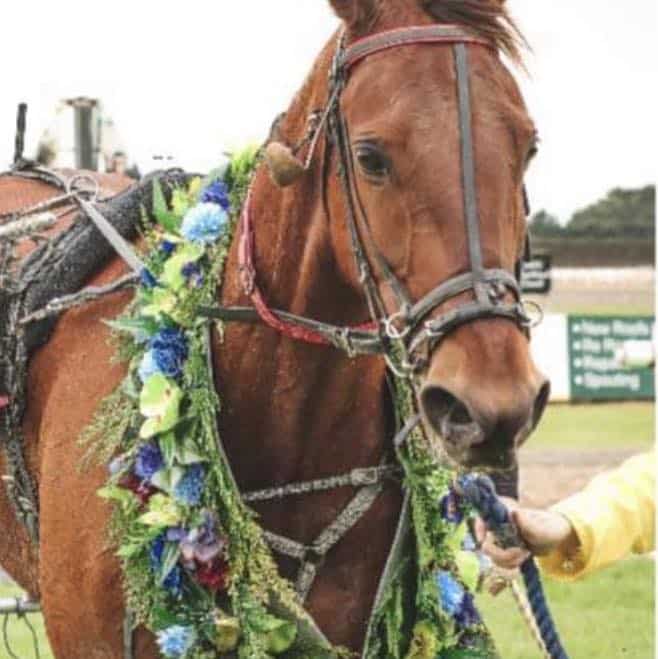 Tuapeka Harness Club Return to Ascot Park Raceway