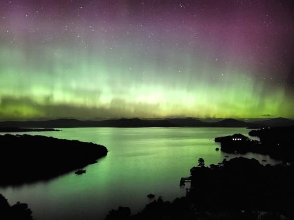 Upgraded Viewing Platform on Stewart Island Enhances Visitor Experience