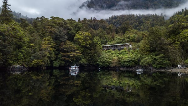 Fiordland Adventure Awaits as Deep Cove Camp Reopens for Overnight Visits