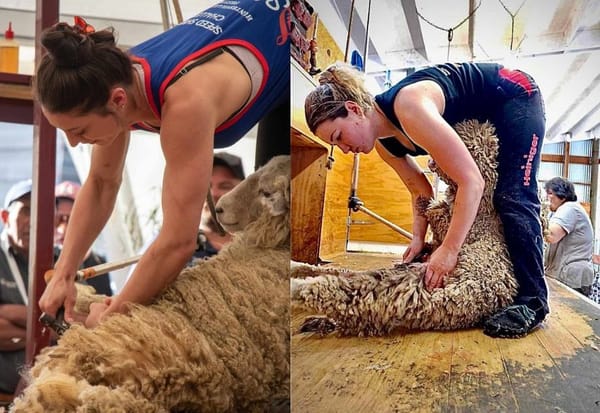 Shearing Triumph: Megan Whitehead and Hannah McColl Surpass World Records