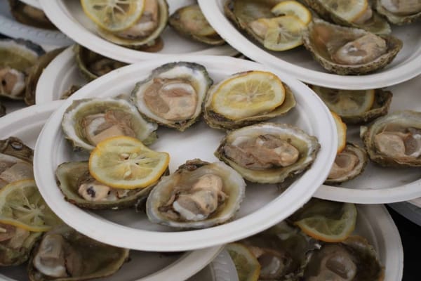 The Bluff Oyster & Food Festival is Back!