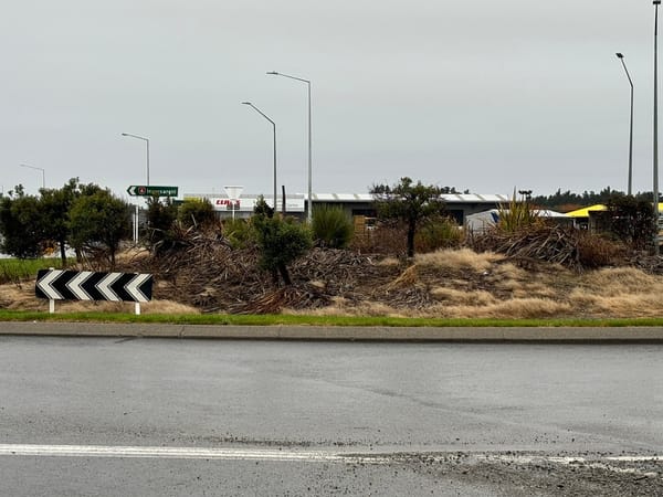 Invercargill’s Gateway Roundabout Described as “Unsightly” by Deputy Mayor