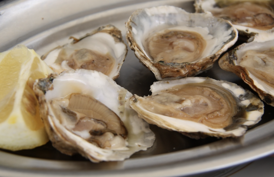 Bluff Oyster & Food Festival Ticket Release Continues